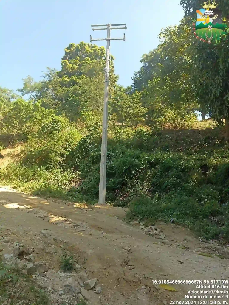 Avance en la Instalación de Postes para la Red de Electrificación