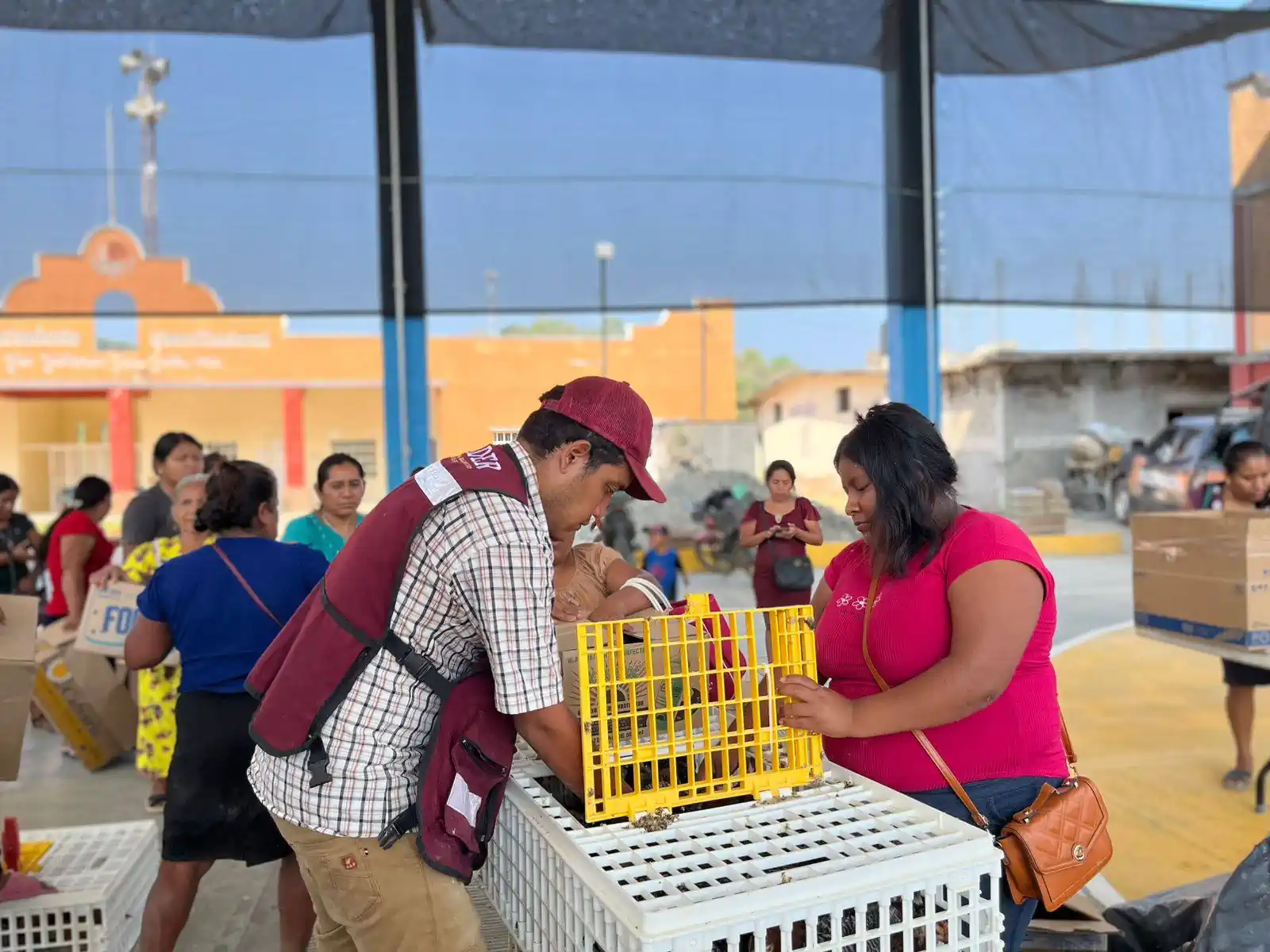Entrega del Paquete de Gallinas de Doble Propósito a Familias de San Baltazar Loxicha