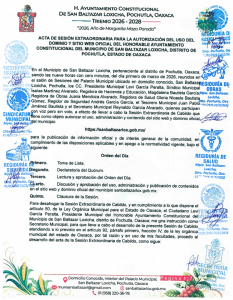 Acta de cabildo de Autorización y Regulación del Sitio Web Oficial del Municipio de San Baltazar Loxicha