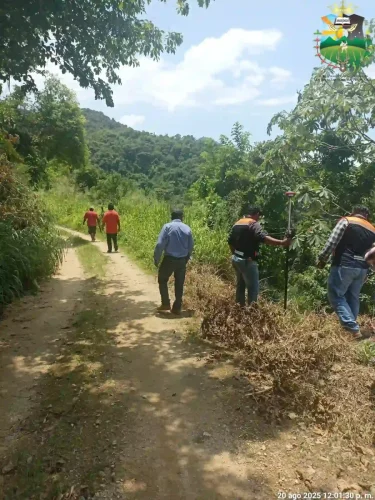 CAMINO SACA COSECHAS 3