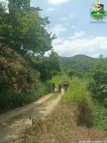 CAMINO SACA COSECHAS 4